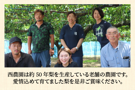 【先行予約】幸水梨 5kg前後 (8～14個) たっぷりの果汁を含んだジューシーな梨！【2026年8月中旬以降順次発送予定】【梨 幸水梨 なし フルーツ 甘い みずみずしい 果実 果物 新鮮 お土産 