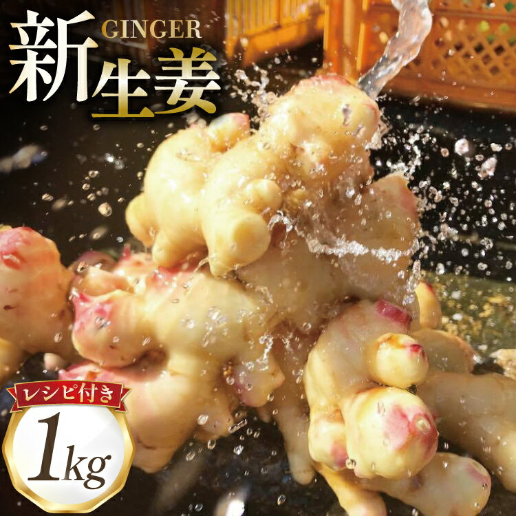 【ふるさと納税】 BI379 島原百年生姜 新生姜 1kg [ 生姜 しょうが ショウガ 野菜 やさい ジンジャー 薬味 国産 人作 長崎県 島原市 ]