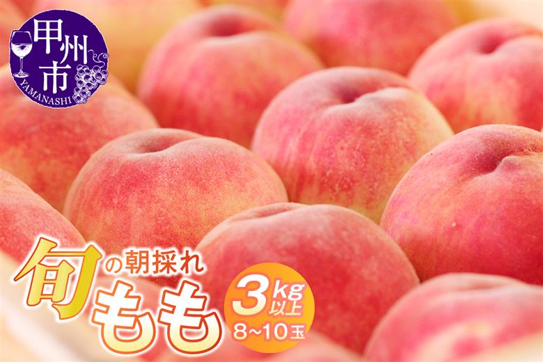 旬の朝採れ特選大玉もも 3.0kg以上（8～10玉）【2027年発送】（HO）B17-411