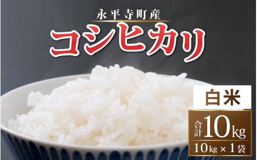 【令和8年度産 新米 先行予約】【白米】永平寺町産 コシヒカリ 白米 10kg ｜ こめ ごはん 精米 ご飯 お試し 白米 こしひかり 単発 送料無料 福井 永平寺町産 [B-033106 ]