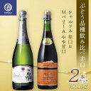 【ふるさと納税】 ぶどう品種飲み比べ赤白 シャルドネ 辛口 MベリーA やや甘口 2本セット F2Y-3603