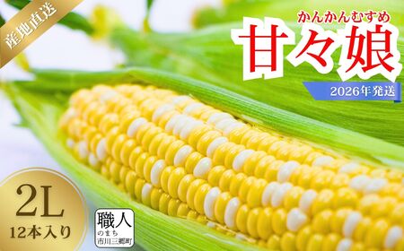 【2026年6月上旬から発送】市川三郷町産　とうもろこし 甘々娘　2Lサイズ 12本入り Dragon Farm 山梨県 市川三郷町 人気 スイートコーン コーン トウモロコシ 朝採り 先行 先行予約 甘い 野菜 夏野菜 BBQ ドラゴン ファーム [5839-2324] 