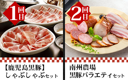 【全12回】至福の かごしま黒豚 味わい定期便 NS-37 | 鹿児島 かごしま 豚 豚肉 ぶた おかず しゃぶしゃぶ 餃子 味噌漬け 生ハム 生姜焼き ハンバーグ ウインナー ハム ソーセージ 焼き