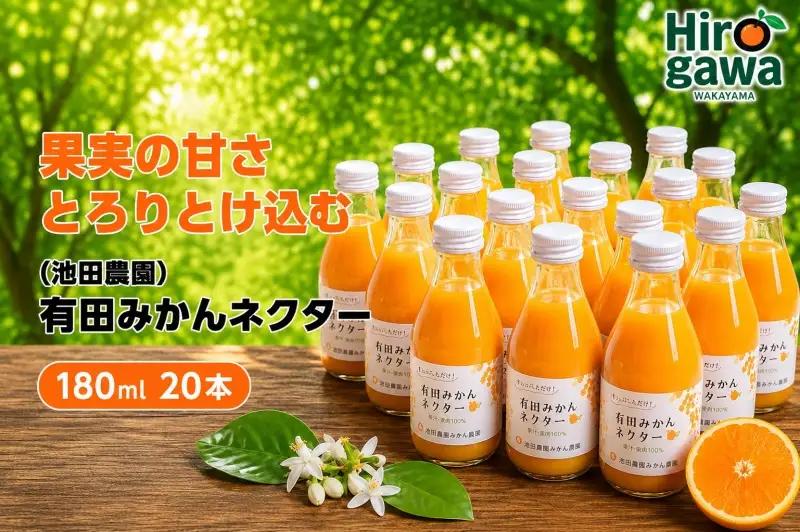 みかん ネクター 100％ ジュース / 温州みかん 有田みかん 果汁 無添加 柑橘 和歌山 20000円 180ml ※北海道・沖縄・離島への配送不可 //drink 【ikd100-to180-20B】