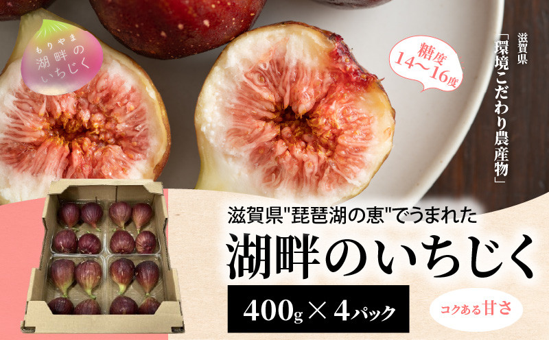 
                  【2026年配送・先行予約】湖畔のいちじく　4パック　糖度14度〜糖度16度 美活 果物 フルーツ 旬のフルーツ 季節の果物 デザート お土産 冷蔵 お取り寄せ 守山市 滋賀県 CI-0003
                