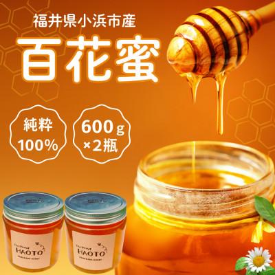 ふるさと納税 小浜市 はちみつOBAMA 600g×2瓶