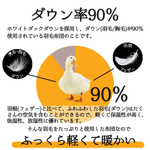 洗える羽毛合い掛け布団シングル ダウン90%350dp羽毛1.0kg 北欧デザイン コーラル【1443405】