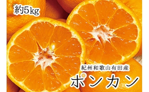 紀州和歌山有田産ポンカン　5㎏ ※2027年1月下旬頃〜2027年2月上旬頃に順次発送（お届け日指定不可）【uot722】