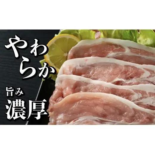 【12回定期便】 長崎県産 豚肉 モモスライス 1.6kg (400g×4) 総計19.2kg 定期便 小分け 冷凍 豚肉 しゃぶしゃぶ すき焼き ぶたにく 国産豚 12回 定期便 