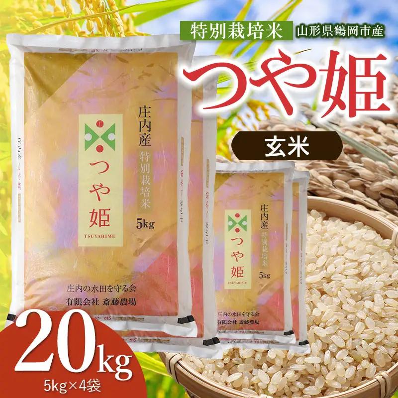 【令和8年産 新米】特別栽培米 つや姫 玄米 20kg（5kg×4袋） 山形県鶴岡市 K-8150 斎藤農場