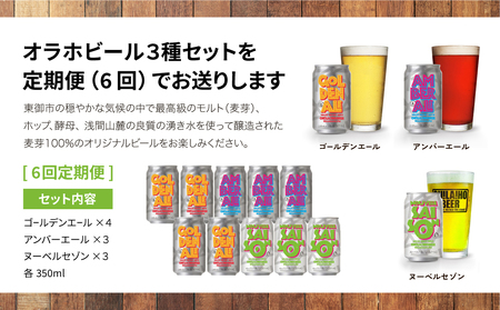 【6回定期便】オラホビール10本（3種合計10本）