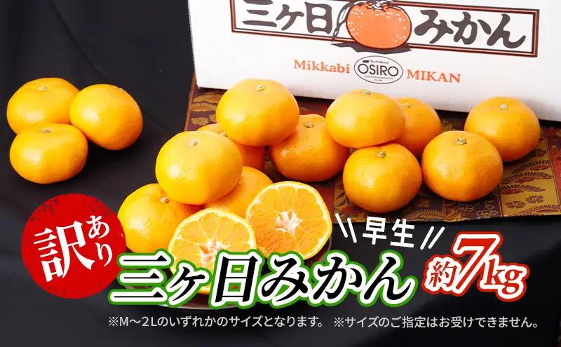 みかん 三ヶ日みかん 早生 7kg 訳あり みかん