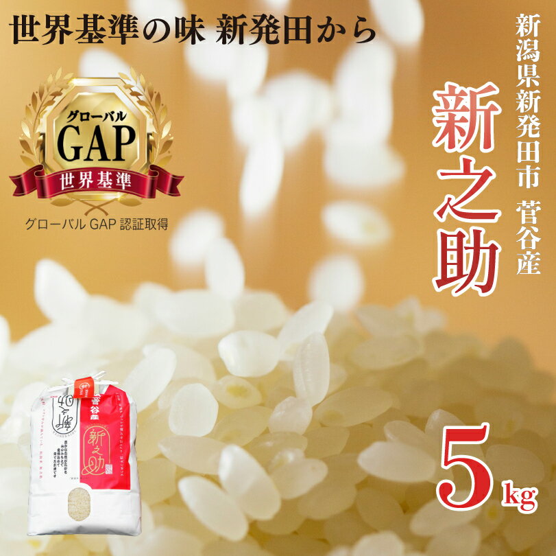 【ふるさと納税】 米 令和7年産 新之助 5kg 玄米 新潟県 新発田産 米 5kg 越後菅谷 新之助 数量限定 D18_03