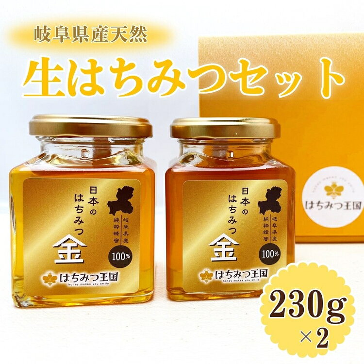 【ふるさと納税】岐阜県産100% 生はちみつセット 230g×2瓶【ギフトBOX入り】 [No.677] ／ 国産 ハチミツ 蜂蜜 送料無料 岐阜県