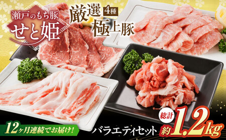 【全12回定期便】バラエティセット約1，200g (肩ロース・バラ・小間切れ・豚トロ 各300g)  [BAER081]豚肉