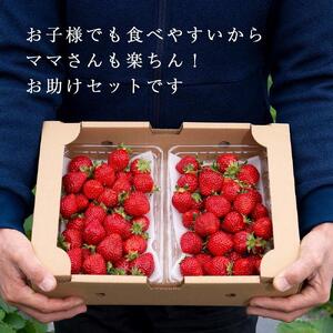 【2027年1月～4月出荷分予約販売】★たっぷり1000g！★ミニサイズの「完熟あまおう」セット