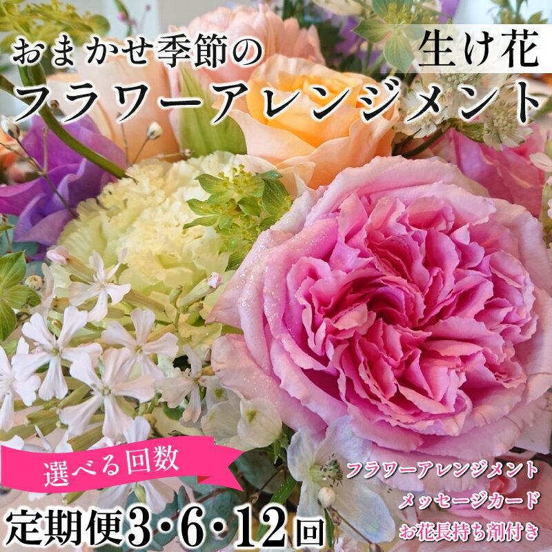 【ふるさと納税】 花 季節の 花束 フラワーアレンジメント 定期便 3回 6回 12回 オリジナル手作りカード付 生花 こだわりギフト プレゼント 母の日 父の日 敬老の日 花束 フラワーガーデンミモザ ※北海道・東北・沖縄を含む離島への配送不可 フラワーガーデンミモザ