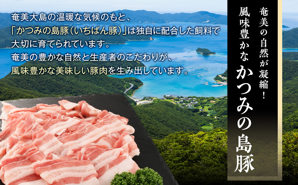 かつみの島豚いちばんしゃぶしゃぶバラエティセット750g（250g×3パック）