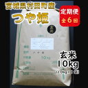 【ふるさと納税】【毎月定期便】宮城県村田町産つや姫　玄米10kg(10kg×1)全6回【4060610】