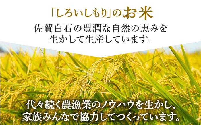 【令和7年10月以降発送】【令和7年度産】しろいしもりのお米 ひのひかり 2kg【Sunrise328】 [ICD010]