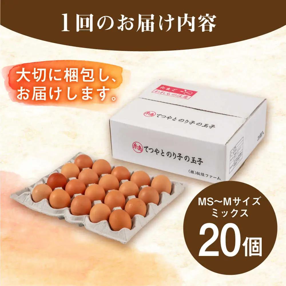 【全3回定期便】卵 20個 てつやとのりこの玉子 卵 たまご 定期便 [AWD016]
