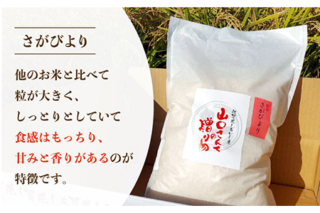 【令和5年産】特別栽培米 さがびより 10kg（白米）山口さんちの贈り物 /令和5年度産米 特別栽培米 白米 ブランド米 さがびより さがのお米 米粒が大きくしっかり お米の甘味 冷めてもおいしいお米