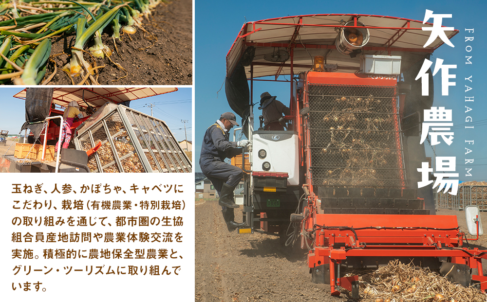 R7年産 有機農産物 玉ねぎ 20kg (有)矢作農場 | 玉ねぎ たまねぎ タマネギ 玉葱 大容量 オニオン 甘い 有機栽培 国産 産地直送 カレー ハンバーグ 煮込み 炒め物 北海道 津別町 送料