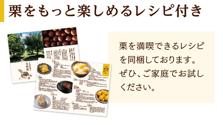 【 吉原農場 の 完熟栗 】 熟成 生栗 1kg 3Lサイズ ・ 焼き栗 2袋 セット 完熟 栗 くり クリ 栗ごはん 贈答 ギフト 果物 フルーツ 数量限定 旬 秋 冬 正月 おせち [CX008c