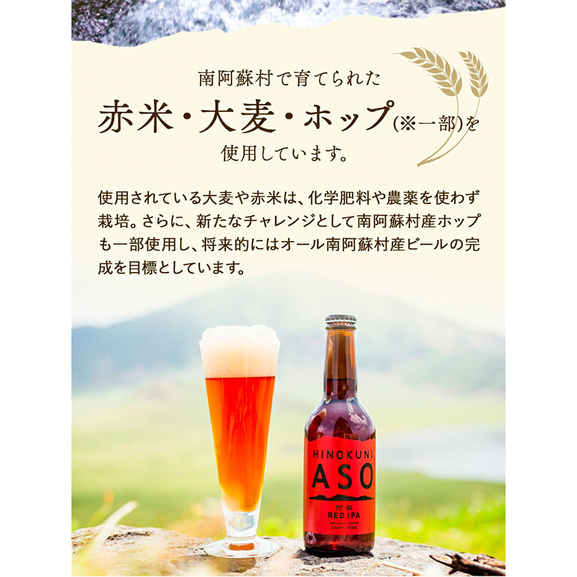 みなみ阿蘇 ビール 阿蘇レッド IPA 330ml×6本セット 株南阿蘇ケアサービス 《90日以内に出荷予定(土日祝除く)》---sms_carebred_90d_23_16000_6i---