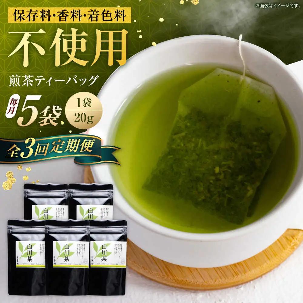 【3回定期便】煎茶 ティーバッグ 5袋 / 菊之園[AWAG005]煎茶