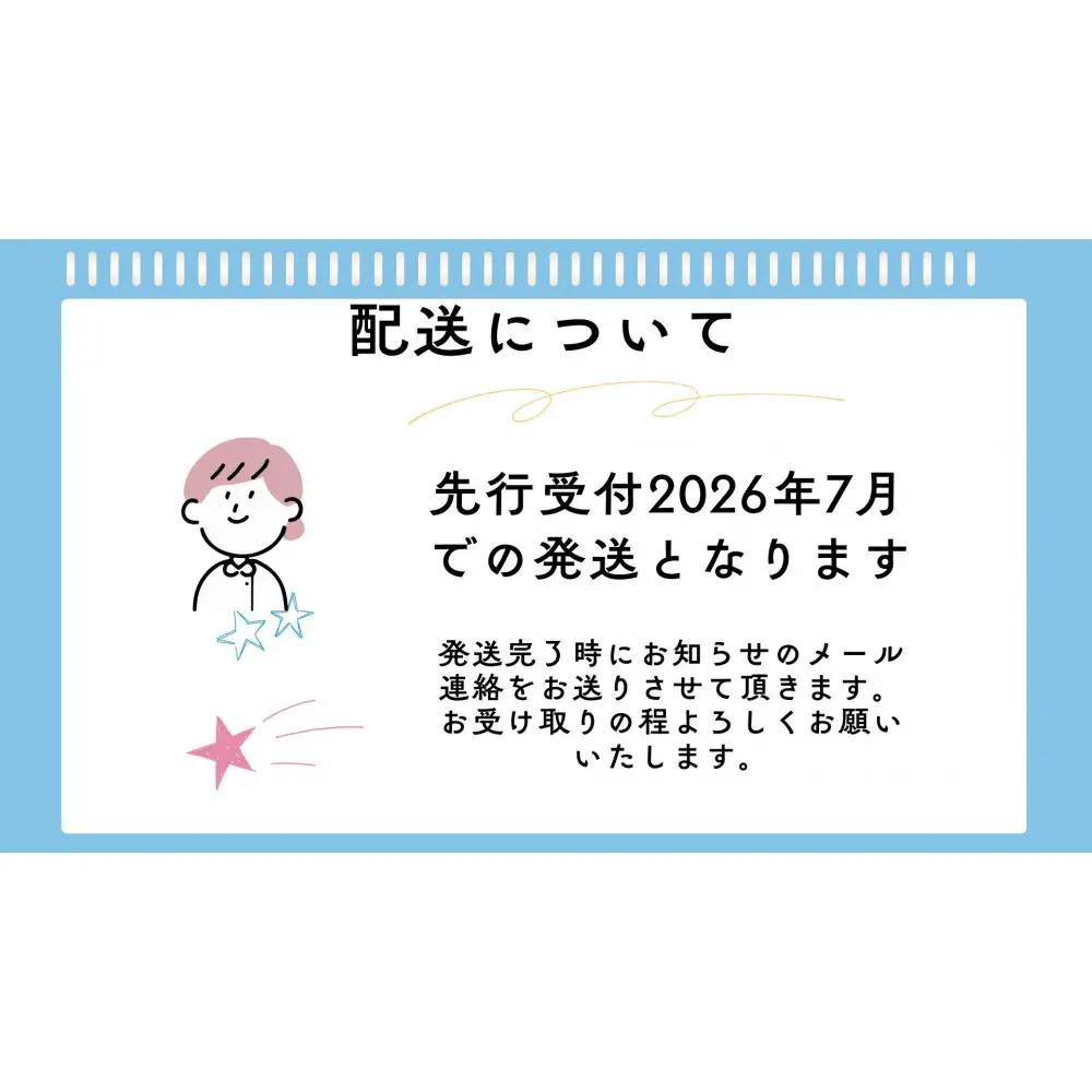 《先行受付・2026年7月お届け》【虹色Farm】国産カブトムシ成虫1ペア(飼育キット付) ｜京都 オオカブト 人気