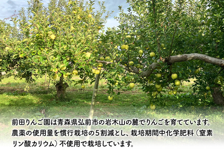 【レビューキャンペーン】【25年10月発送】りんご【訳あり】トキ 約5kg  前田りんご園