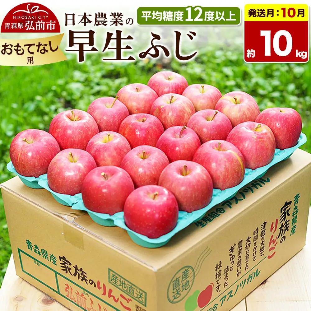 【26年10月発送】りんご 早生ふじ【おもてなし用】約10kg 平均糖度12度以上 青森 果物 フルーツ 林檎 リンゴ くだもの