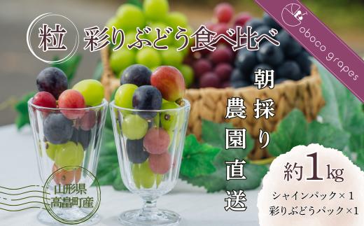 
            ≪2025年先行予約≫山形県 高畠町産 大粒ぶどう 彩りぶどう食べ比べ 粒 約1㎏（500g×2）2025年9月中旬から順次発送 ぶどう ブドウ 葡萄 マスカット 大粒 種なし 高級 くだもの 果物 フルーツ 秋果実 食べ比べ 自宅用 家庭用 ギフト 贈り物 プレゼント 産地直送 農家直送 数量限定 F21B-307
          