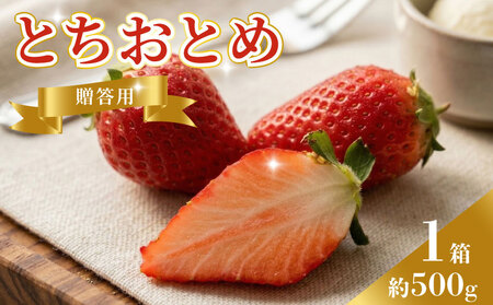 先行予約 いちご とちおとめ 約500g いちご レシピ付