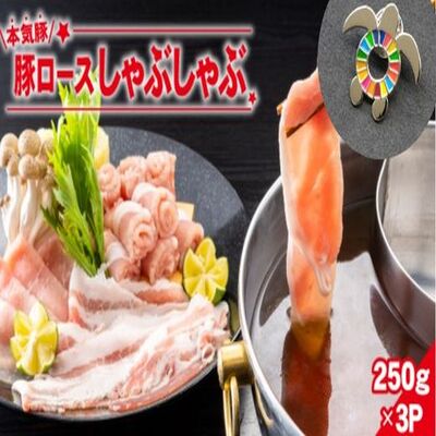 【ふるさと納税】【SDGsカメバッチ】と【本気豚ロースしゃぶしゃぶ】