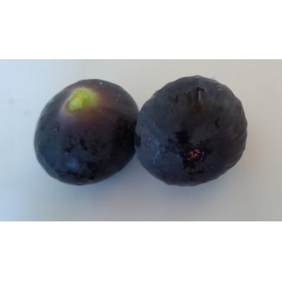 ふるさと納税 高松市 【数量限定!】ご家庭用黒いちじく(サイズ混合)　約1kg |  | 01