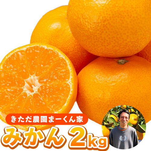 【ふるさと納税】まーくん家のみかん 2kg 《11月中旬-12月中旬頃出荷》 和歌山県 紀の川市 柑橘 きただ農園まーくん家 化学肥料・除草剤不使用