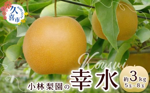 【先行予約 数量限定】梨 幸水 約3kg 5玉～8玉【埼玉県 久喜市 菖蒲 小林梨園 梨 フルーツ 高級 産地直送 限定品 贈り物 新鮮 お取り寄せ デザート ギフト 風味豊か 赤梨 大玉 香り 上品 希少価値 珍しい 地域 甘い 限定 果物 果樹 幸水 梨 なし 果物 フルーツ 埼玉県 久喜市 菖蒲 和梨】