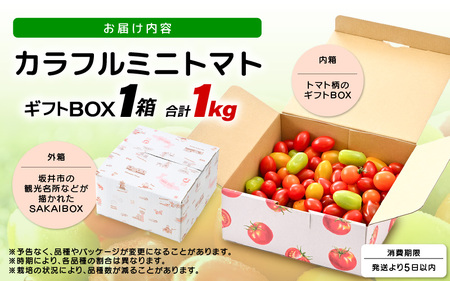 カラフルミニトマト5色アソート (赤、オレンジ、イエロー、グリーン、チョコ) 1kgギフト箱入 色とりどりの栄養カプセル！【とまと トマト ミニトマト 野菜 生野菜 美容 健康 新鮮 産地直送 贈答 