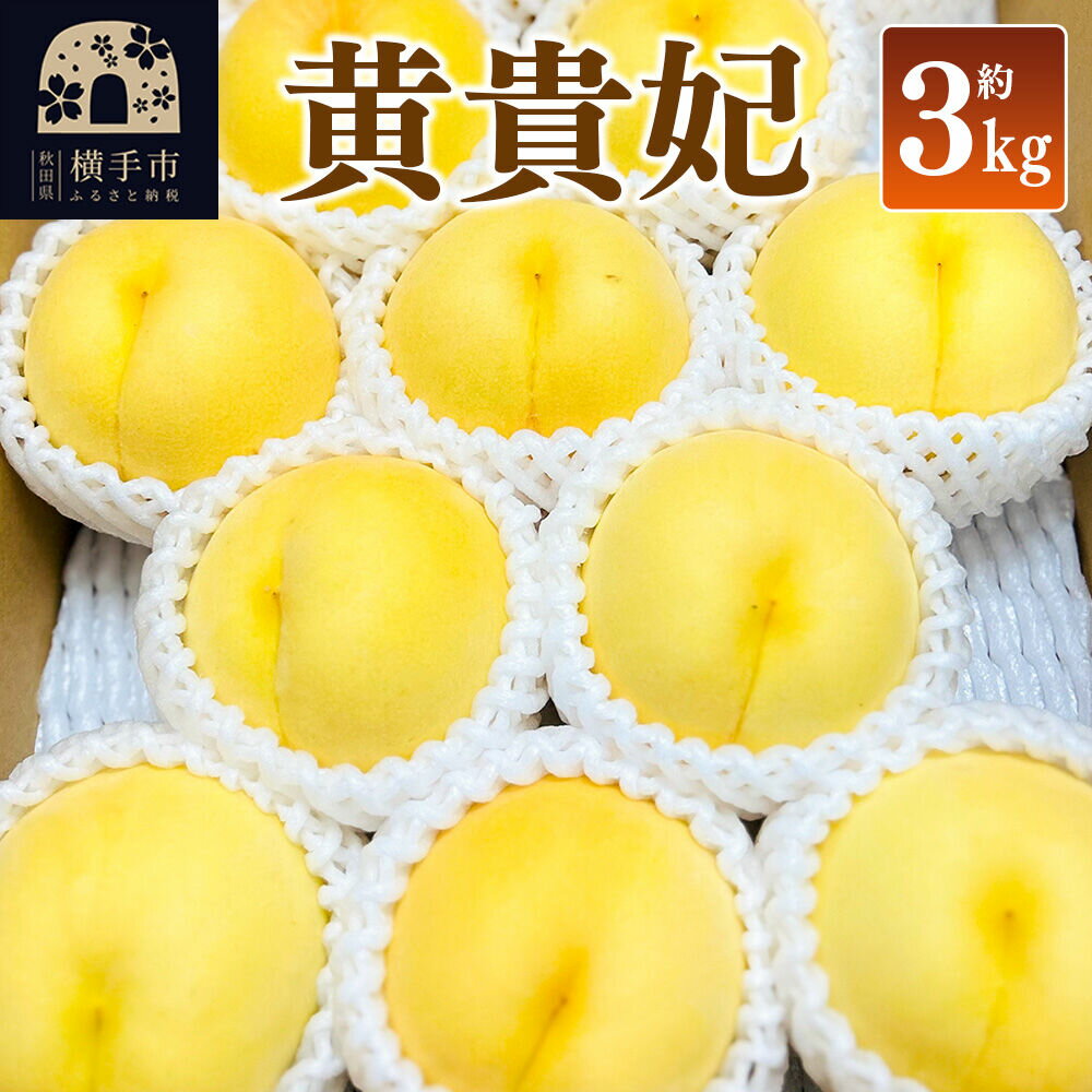 【ふるさと納税】【先行受付】9月上旬より発送 黄貴妃 約3kg（9〜13玉前後）モモ もも 黄色桃 [先行予約 もも モモ 黄桃 黄色桃 果物 フルーツ 横手産 秋田産 秋田県産]