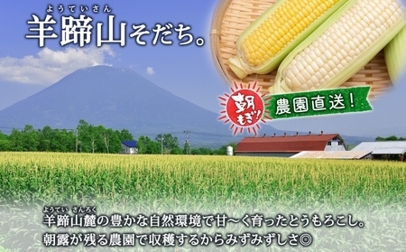 【 2026年 発送 】 北海道産 とうもろこし 2種 計12本 L-2L サイズ混合 味来 ロイシーコーン 食べ比べ セット 旬 朝採り 新鮮 トウモロコシ とうきび お取り寄せ 産地直送 野菜 し