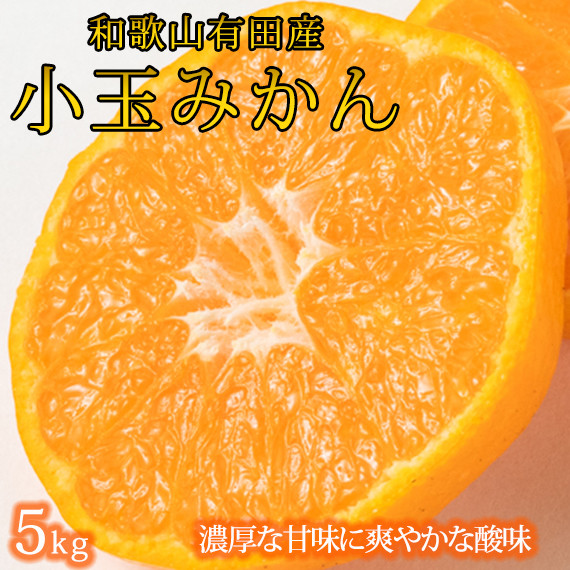 
            【有田の小粒みかん5kg　(S～3Sサイズ混合) ※2025年11月下旬頃～2026年1月下旬頃に順次発送予定 / みかん ミカン 蜜柑 温州みかん 柑橘 フルーツ 果物 くだもの 和歌山【uot845】 
          