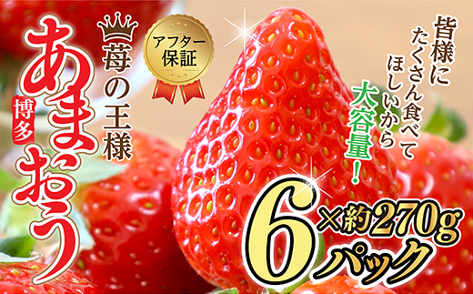 【福岡県産あまおう】 訳あり グランデ　約２７０ｇ×６Ｐ 3W13