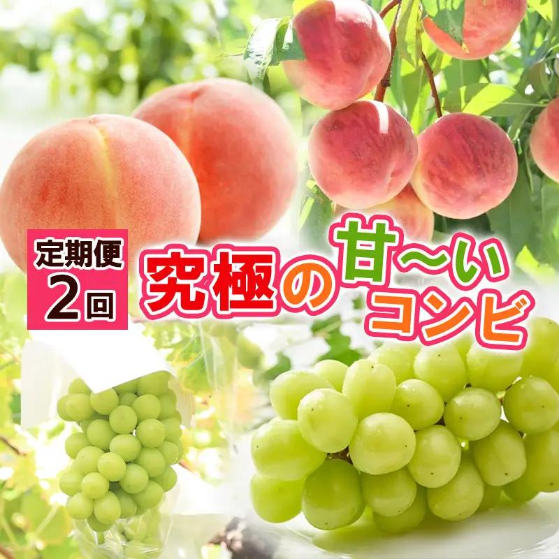 【定期便2回】究極の 甘～いコンビ【令和8年産先行予約】FS24-795 くだもの 果物 フルーツ 山形 山形県 山形市 2026年産