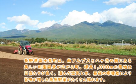 にんじんジュース 200ml 10本 にんじんのとりこ 甘くて 飲みやすい ストレート果汁 八ヶ岳わくわくファーム