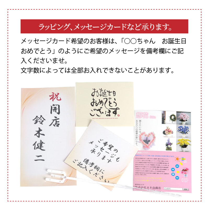 綺麗で丈夫な三河陶器で贈る 光触媒胡蝶蘭小輪３本立（ローズピンクの陶器×桃色の花）　H100-081