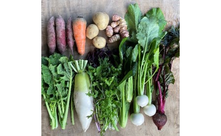季節の野菜セット【栽培期間中　無農薬、無科学肥料】 野菜の詰め合わせ 旬の野菜 珍しい野菜 旬の食材 国産 日本産 おたのしみ 食べ物 食品 ベジタブル 春野菜 夏野菜 秋野菜 冬野菜 葉物 根菜 