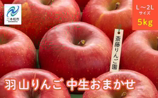 《2025年10月以降順次発送》羽山のりんご　中生おまかせL〜2Lサイズ5kg りんご リンゴ 果物 フルーツ 羽山りんご 5kg 早生ふじ ふじ 人気 くだもの おすすめ お中元 お歳暮 ギフト 二本松市 ふくしま 福島県 送料無料【斎藤りんご園】