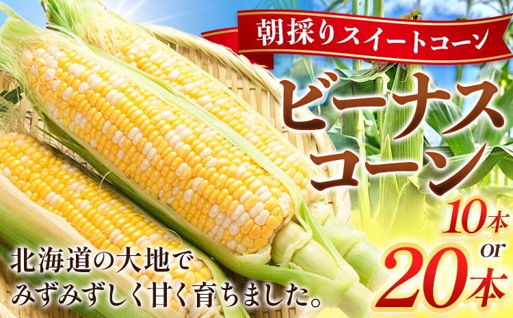 
                  【先行予約】朝採り とうもろこし ビーナスコーン スイートコーン 10本 20本 《2026年8月上旬-8月末頃出荷予定》山下農場 バイカラー 大粒 コーン トウモロコシ 送料無料 北海道 本別町北海道 十勝 本別町産 冷蔵便 甘い
                